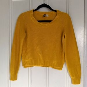 light, cropped, mustard sweater